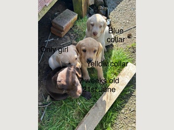 Image 1 of 20