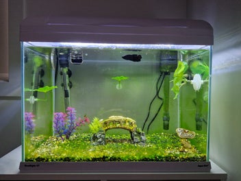Image 1 of 7