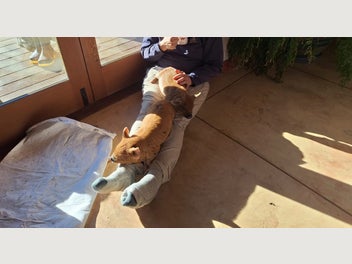 Image 1 of 5