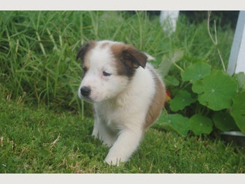 Image 1 of 19