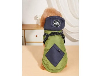Image 1 of 9