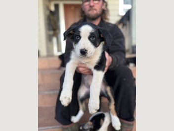 Image 1 of 5