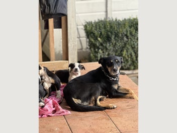 Image 1 of 8