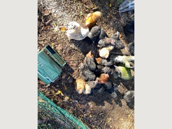 Image 1 of 13