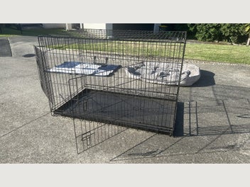 Image 1 of 11
