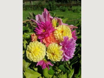 Image 1 of 4