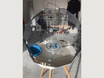 Image 1 of 2