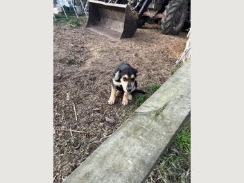 Image 1 of 10