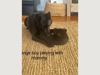 Image 1 of 19