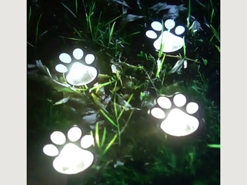 Image 1 of 7