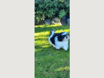 Image 1 of 16