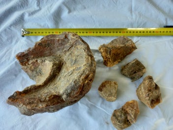 Image 1 of 8