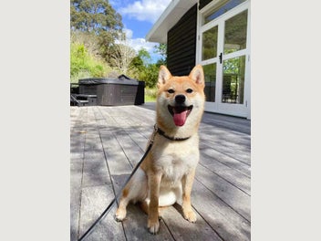 Image 1 of 11