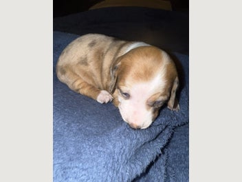 Image 1 of 11