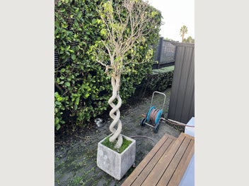 Image 1 of 5