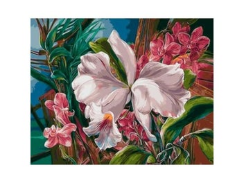 Image 1 of 9