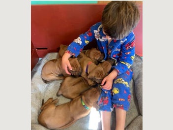 Image 1 of 6