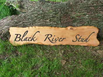 Image 1 of 20
