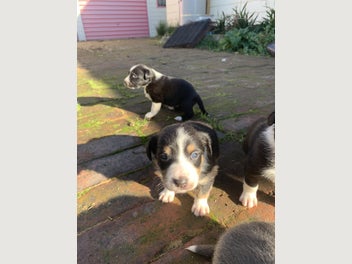 Image 1 of 5