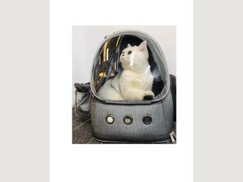 Image 1 of 7