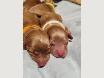 Image 1 of 12
