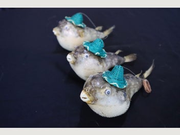 Image 1 of 7