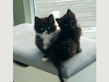 Image 1 of 8