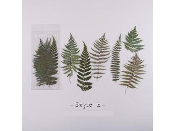 Image 1 of 9