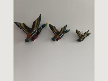 Image 1 of 11