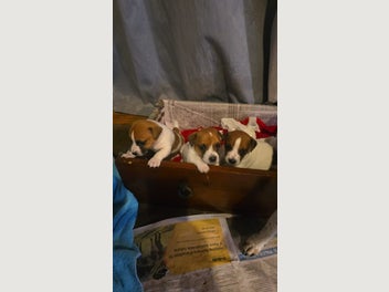 Image 1 of 18
