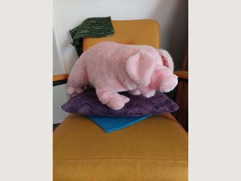 Image 1 of 8