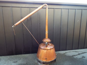Image 1 of 7