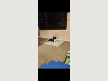 Image 1 of 13