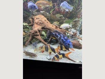 Image 1 of 15