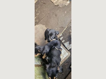 Image 1 of 6