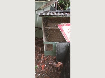 Image 1 of 7