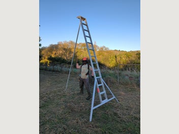 Image 1 of 2