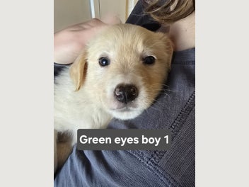 Image 1 of 11