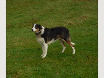 Image 1 of 5