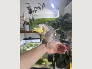 Image 1 of 5