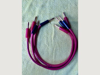 Auckland Closes: Sun, 3 Aug Monster Speaker Cable Jumpers Shipping from $6.50 Buy Now $45.00  			