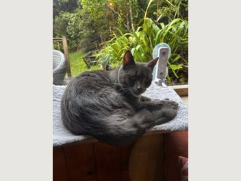 Image 1 of 7