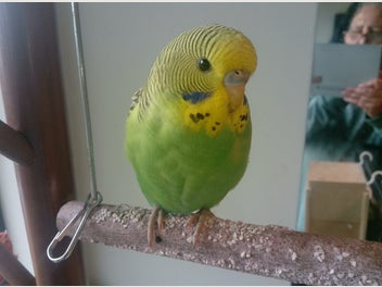 Image 1 of 3