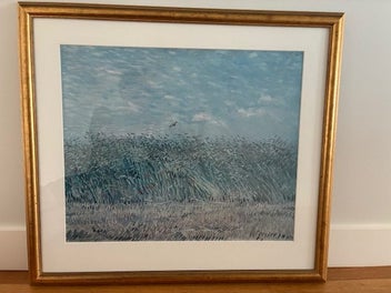 Image 1 of 5