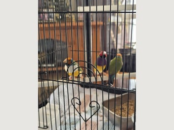 Image 1 of 7
