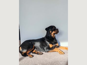 Image 1 of 6