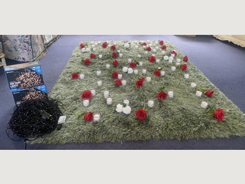 Image 1 of 10