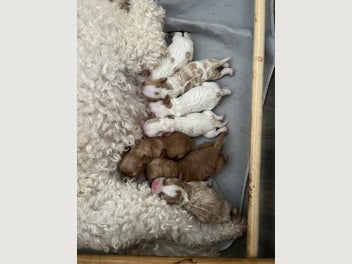 Image 1 of 6