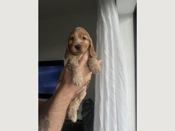 Image 1 of 6