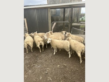 Image 1 of 6